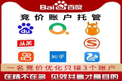 短视频平台的SEM推广实践与效果